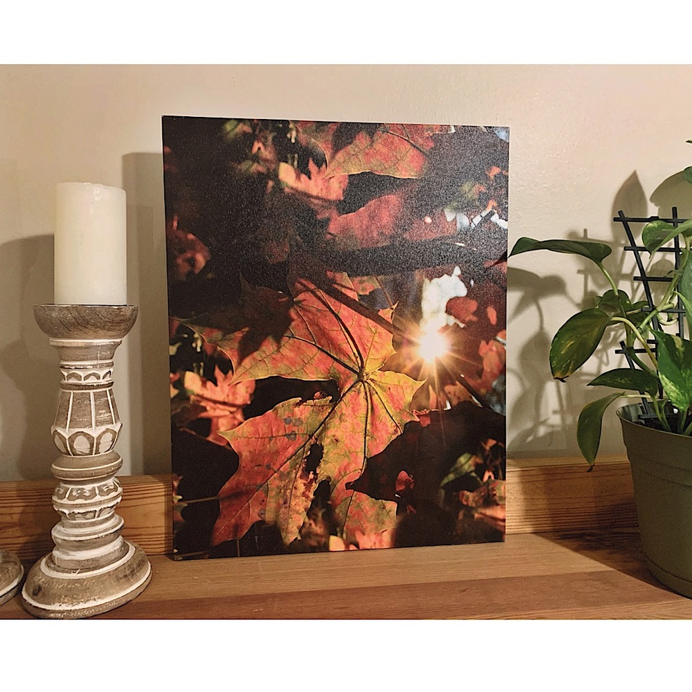 Beautiful Fall Inspired Canvas Wall Art